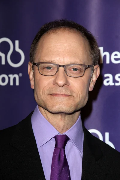 David Hyde Pierce en la Asociación del Alzheimer del 20 Aniversario "Una Noche en Sardi 's", Beverly Hilton Hotel, Beverly Hills, CA 03-21-12 —  Fotos de Stock