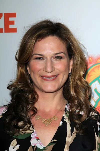 Ana Gasteyer at the "Fun Size" Los Angeles Premiere, Paramount Studios, Hollywood, CA 10-25-12 — Stock Photo, Image