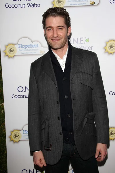Matthew Morrison at An Evening With Leona Lewis And Friends Benefiting Hopefield Animal Sanctuary, Private Location, Beverly Hills, CA 11-19-11 — ストック写真