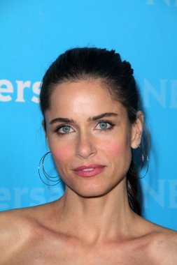 Amanda Peet