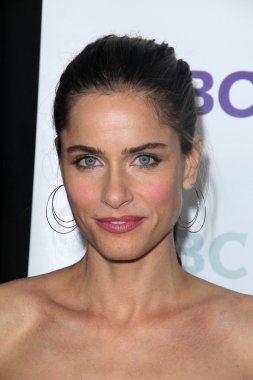 Amanda Peet