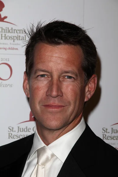 James Denton at the St. Jude Children's Research Hospital 50th Anniversary Gala, Beverly Hilton, Beverly Hills, CA 01-07-12 — Stockfoto