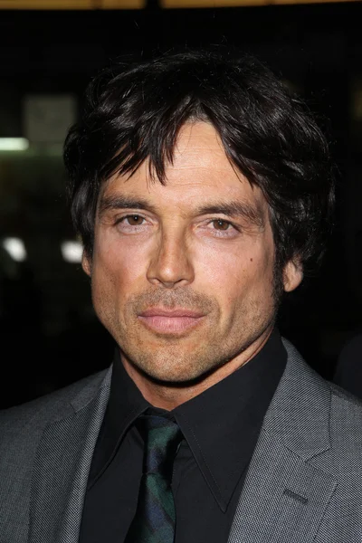 Jason Gedrick at the premiere of HBO's "LUCK," Chinese Theater, Hollywood, CA 01-25-12 — Stock Photo, Image