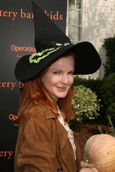 Marcia Cross — Zdjęcie stockowe