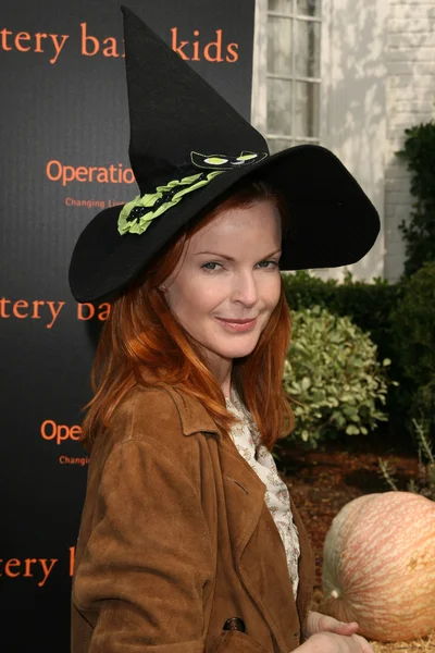 Marcia Cross — Zdjęcie stockowe