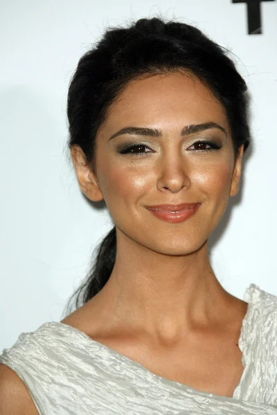 Nazanin Boniadi en "Los próximos tres días" Los Angeles Screening, DGA, West Hollywood, CA 16-11-10 — Foto de Stock