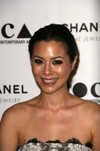 China Chow — Stockfoto