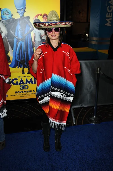 Mary Lynn Rajskub al "Megamind" Los Angeles Premiere, Chinese Theater, Hollywood, CA. 10-30-10 — Foto Stock