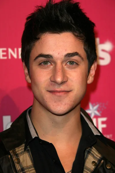 David Henrie at US Weekly's Hot Hollywood Event, Colony, Hollywood, CA. 11-18-10 — Stock Photo, Image