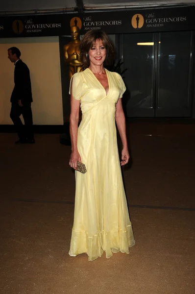 Christine Lahti at the 2nd Annual Academy Governors Awards, Kodak Theater, Hollywood, CA. 11-14-10 — Stok fotoğraf