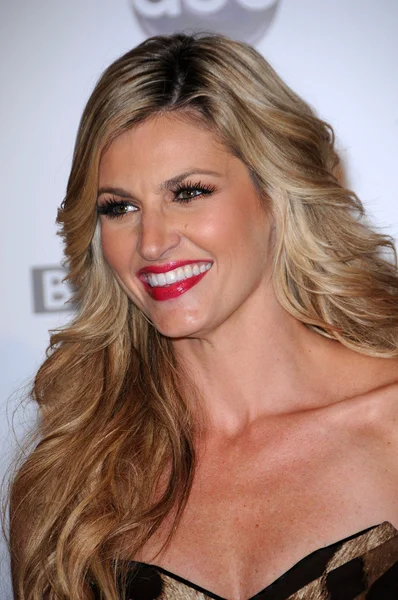 stock image Erin Andrews