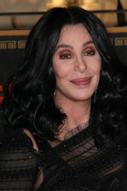 Cher - şarkıcı