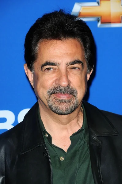 Joe Mantegna — Stock fotografie