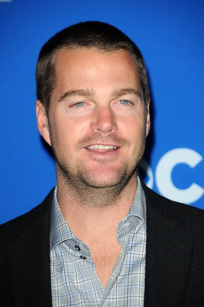 Chris Odonnell. —  Fotos de Stock