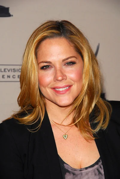 Mary McCormack all'Academy of Television Arts and Sciences "Primetime TV Crimefighters", Leonard H. Goldenson Theater, North Hollywood, CA. 11-01-10 — Foto Stock