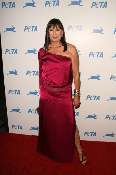 Anjelica Huston — Stock Photo, Image