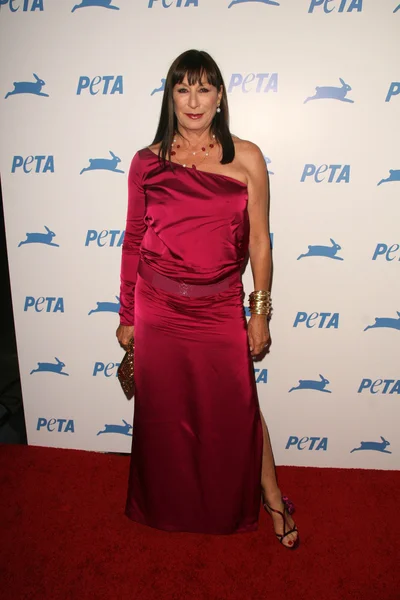 Anjelica Huston — Stockfoto