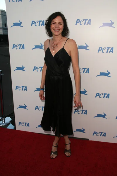 Jorja Fox at PETA's 30th Anniversary Gala and Humanitarian Awards, Hollywood Palladium, Hollywood, CA. 09-25-10 — Zdjęcie stockowe