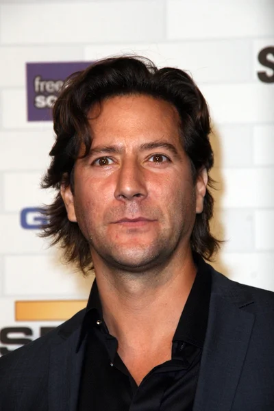 Henry Ian Cusick w: Spike TV "Scream 2010," Greek Theater, Los Angeles, CA. 10-16-10 — Zdjęcie stockowe