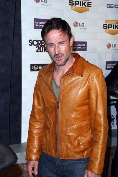 David Arquette — Stock Photo, Image