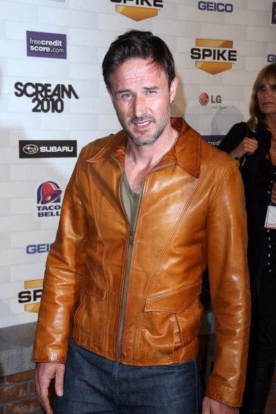 David Arquette — Stock Photo, Image