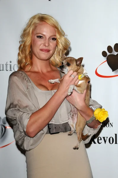 Katherine heigl bei einer pressekonferenz für jdhf animal advocacy, four seasons hotel, beverly hills, ca. 23-09-10 — Stockfoto