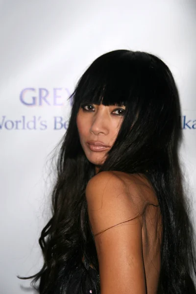 Bai Ling no Rally For Kids With Cancer "The Winner 's Circle" Gala Dinner, Kodak Theatre, Hollywood, CA. 10-23-10 — Fotografia de Stock