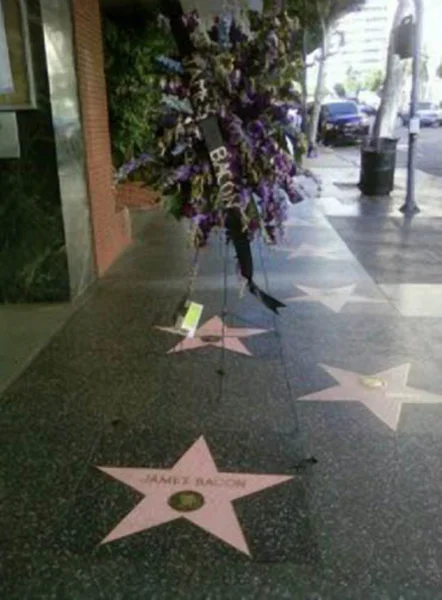 Flor na Estrela de James Bacon na Calçada da Fama de Hollywood, Hollywood, CA. 09-20-10 — Fotografia de Stock