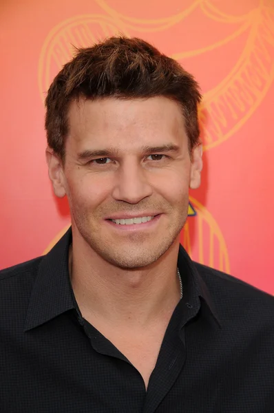 David Boreanaz — Stock Photo, Image