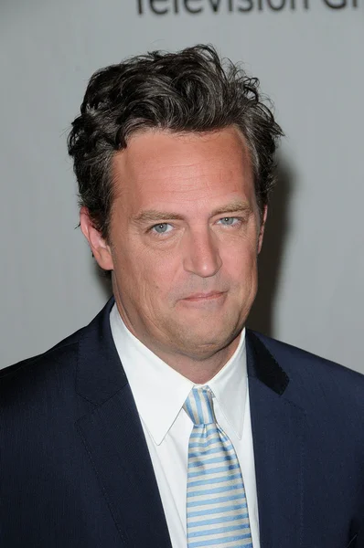 Matthew Perry at the Disney ABC Television Group Summer 2010 Press Tour, Beverly Hilton Hotel, Beverly Hills, CA. 08-01-10 — 스톡 사진