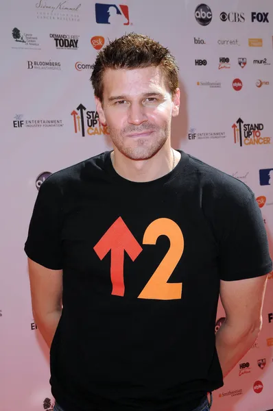 David Boreanaz — Stockfoto