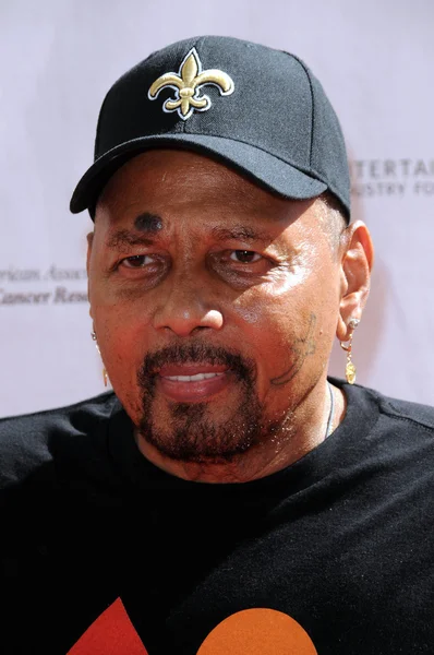 Aaron Neville al 2010 Stand Up To Cancer, Sony Studios, Culver City, CA. 09-10-10 — Foto Stock