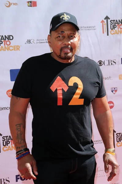 Aaron neville op de 2010 stand tot kanker, sony studio's, culver city, ca. 09-10-10 — Stockfoto