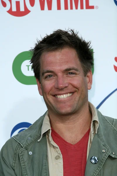 Michael Weatherly at the CBS, The CW, Showtime Summer Press Tour Party, Beverly Hilton Hotel, Beverly Hills, CA. 07-28-10 — Stock Photo, Image