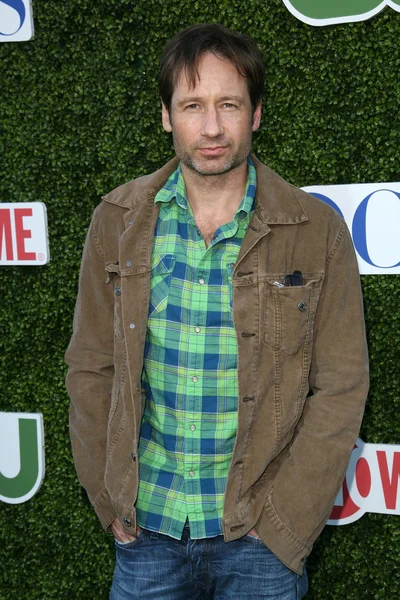 David Duchovny at the CBS, The CW, Showtime Summer Press Tour Party, Beverly Hilton Hotel, Beverly Hills, CA. 07-28-10 — Stock fotografie