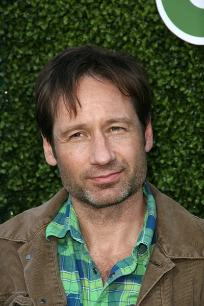 David Duchovny at the CBS, The CW, Showtime Summer Press Tour Party, Beverly Hilton Hotel, Beverly Hills, CA. 07-28-10 — Stock Photo, Image