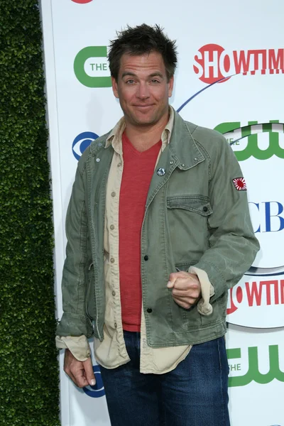 Michael Weatherly au CBS, The CW, Showtime Summer Press Tour Party, Beverly Hilton Hotel, Beverly Hills, CA. 07-28-10 — Photo
