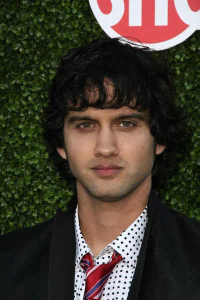 Michael Steger en la CBS, The CW, Showtime Summer Press Tour Party, Beverly Hilton Hotel, Beverly Hills, CA. 07-28-10 — Foto de Stock