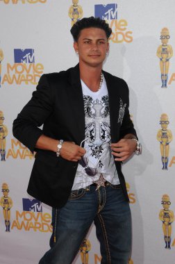 Pauly Del Vecchio at the 2010 MTV Movie Awards Arrivals, Gibson Amphitheatre, Universal City, CA. 06-06-10