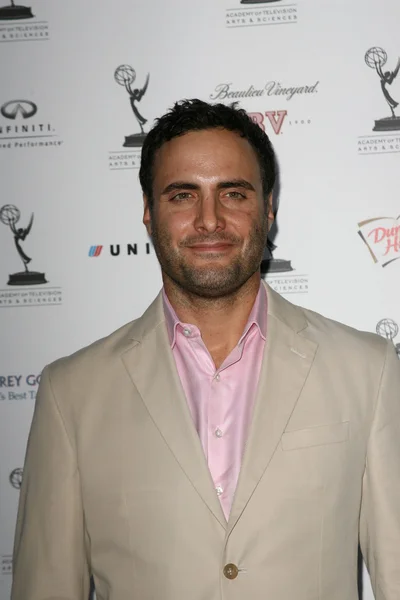 Dominic Fumusa at the 62nd Primetime Emmy Awards Performers Nominee Reception, Spectra by Wolfgang Puck, Pacific Design Center, West Hollywood, CA. 08-27-10 — Stock Photo, Image