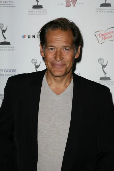 James Remar at the 62nd Primetime Emmy Awards Performers Nominee Reception, Spectra by Wolfgang Puck, Pacific Design Center, West Hollywood, CA. 08-27-10 — Stock Photo, Image