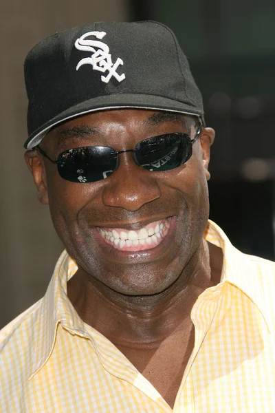 Michael Clarke Duncan en el estreno mundial de "Cats and Dogs The Revenge Of Kitty Galore", Chinese Theater, Hollywood, CA. 07-25-10 — Foto de Stock