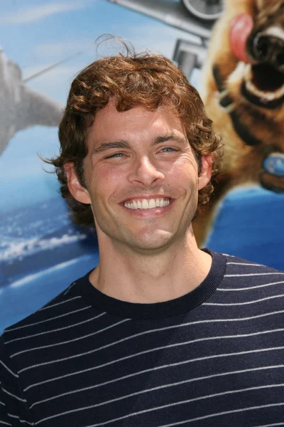 James marsden, "Kediler ve köpekler kitty galore İntikamı" dünya prömiyeri, Çin Tiyatrosu, hollywood, ca. 07 / 25-10 — Stok fotoğraf