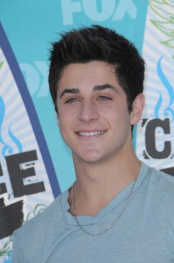 David Henrie at the 2010 Teen Choice Awards - Arrivals, Gibson Amphitheater, Universal City, CA. 08-08-10