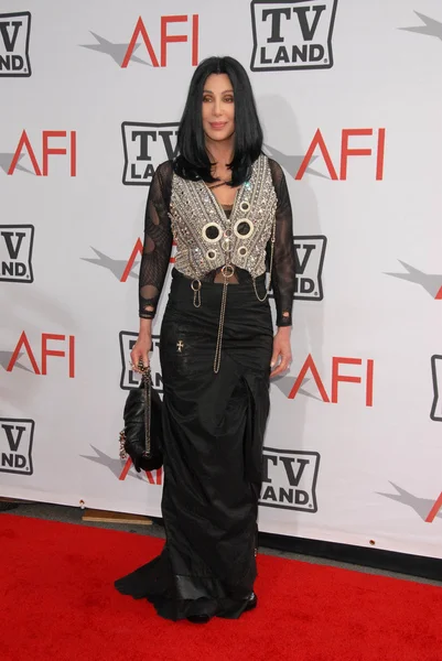 Cher at the The AFI Life Achievement Award Honoring Mike Nichols presented by TV Land, Sony Pictures Studios, Culver City, CA. 06-10-10 — Stock Photo, Image