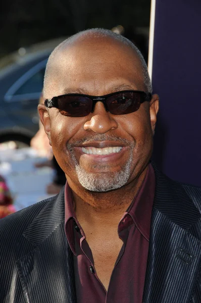 James Pickens Jr. au 9th Annual Chrysalis Butterfly Ball, Private Location, Beverly Hills, CA. 06-05-10 — Photo