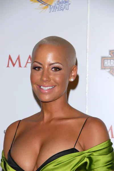 Amber Rose — Stock Fotó