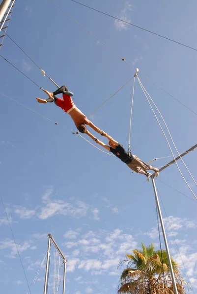 Josh sommer bei der geburtstagsparty von kerri kasem in der fliegenden gaona brothers trapezschule, waldhügel, ca. 07.11.10 — Stockfoto
