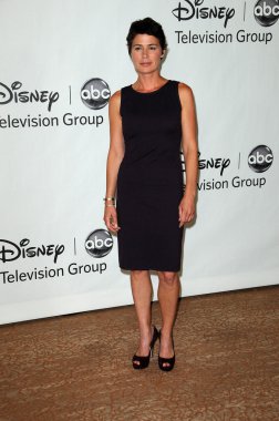 Maura Tierney at the Disney ABC Television Group Summer 2010 Press Tour - Evening, Beverly Hilton Hotel, Beverly Hills, CA. 08-01-10