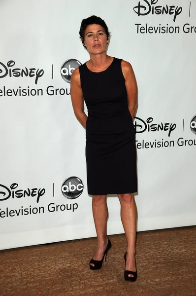 Maura Tierney at the Disney ABC Television Group Summer 2010 Press Tour - Evening, Beverly Hilton Hotel, Beverly Hills, CA. 08-01-10 — Stock fotografie